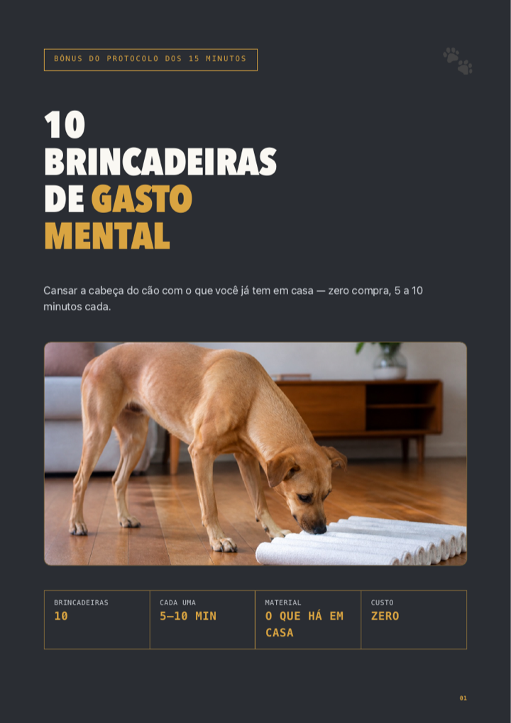 Capa do bônus 10 Brincadeiras de Gasto Mental