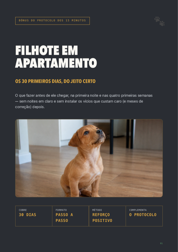 Capa do bônus Guia Filhote em Apartamento