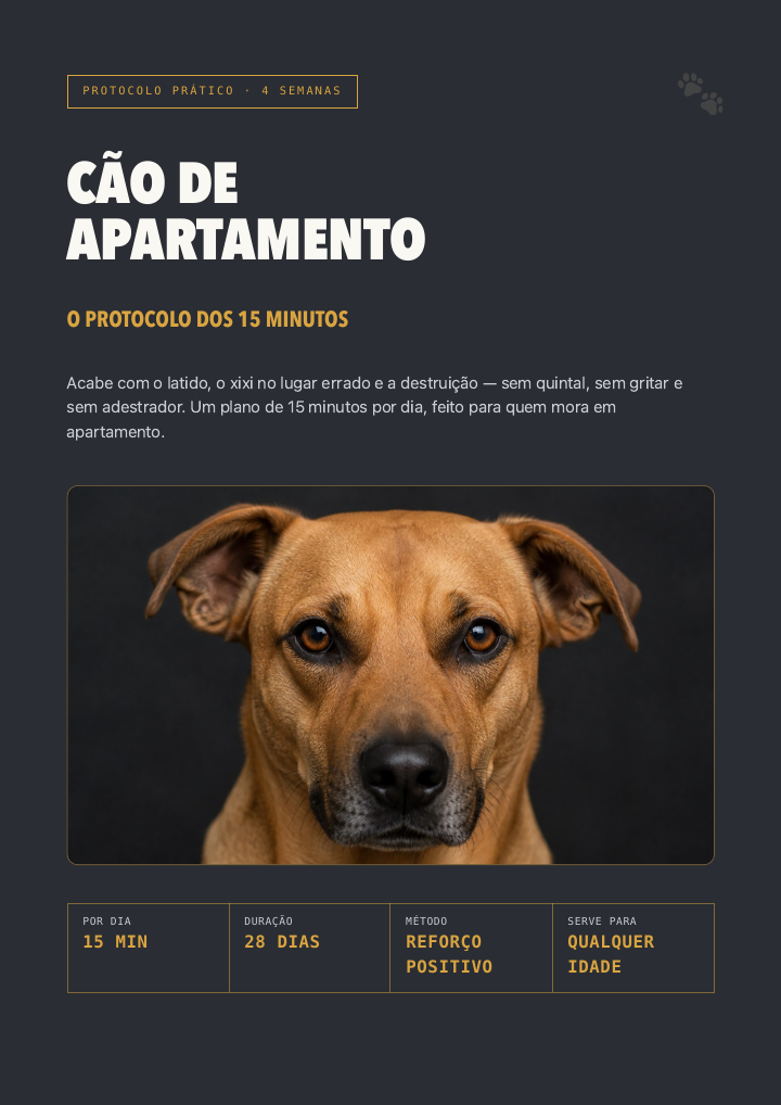 Capa do protocolo Cão de Apartamento